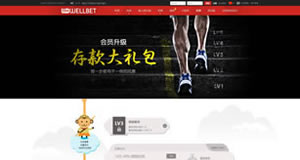 wellbet官方体育网站